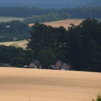 美しき大地…美瑛