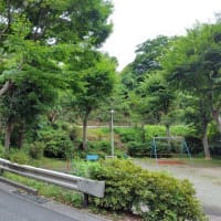 ☆天空の廃墟・田浦月見台住宅を歩く①