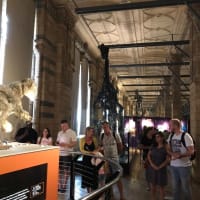 二度目のロンドン68　自然博物館　下　頭が沸騰⁉
