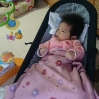 エルゴ インファントインサートを洗濯 そよ風のように優しく歩む エルゴ インファントインサートを洗濯 そよ風のように優しく歩む