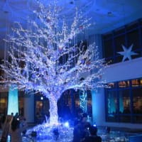 《クリスマスの風景2011》アクアシティお台場 Marine Fantasy Tree