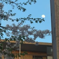 小さな感謝で