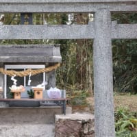 野上り、忘年会