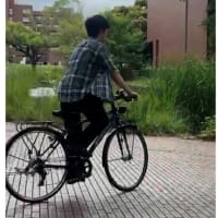 皇室ウイークリー