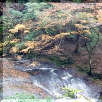 亀山湖（亀山ダム）紅葉狩りウーオキング