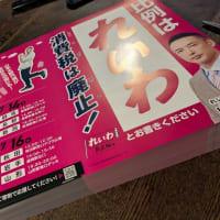 選挙だっ！何できる？