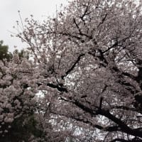 食べたいものを作る幸せ
