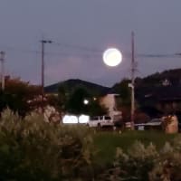 2023中秋の名月　
