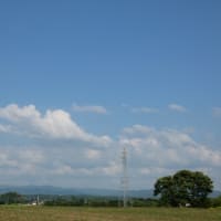 石破総理の応援を拒否した自民候補が話題に…党内崩壊の予兆と総理不要論の現実！( ｀ー´)ノ