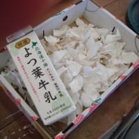 牛乳パック→ハガキ①