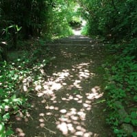 6月最後の教室　やまゆり咲く