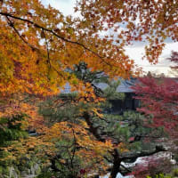 永源寺～百済寺の紅葉散策-滋賀県東近江市