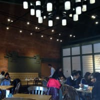 1月的小游（横滨和上野）