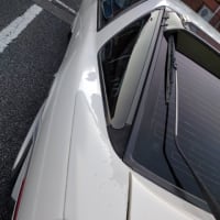 愛車、ドックイン！
