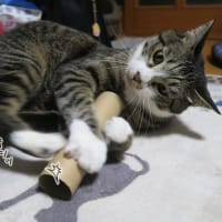 眠くたってお約束だから