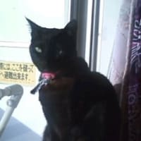 おもいで