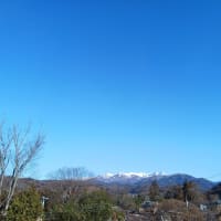 今年もゆる～く