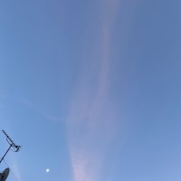 2025年07月06日