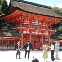 20240325東本願寺と下加茂神社