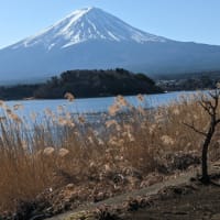 最後の大還元祭