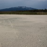 砂浜と鳥海山