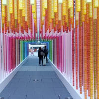 「100色の道」　〈100 colors no.53　Gateway Park〉　