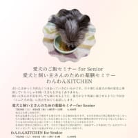 愛犬のためのご飯セミナーfor Senior 開催します!