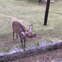 初めまして♡♡