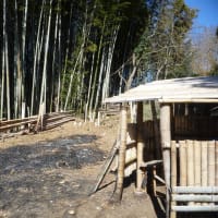 富士山探訪記ーーー２