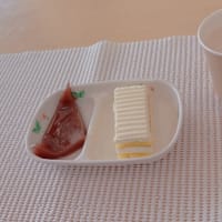 ♪♪　スプリングコンサート　♪♪
