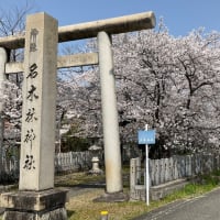 桜のお花見に出かけました！！