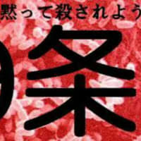 #参院選 2025その１(#7月8日 #安倍晋三 元総理命日にあたり)マスコミ＋反日野党＋左傾国民という赤い一枚岩、保守派はわかっているの？