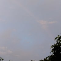 虹