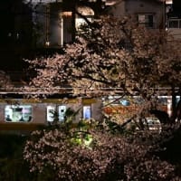 2025年4月5日　東京散歩（二回目）　その3　（神楽坂）