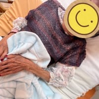 6月スタート