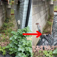 奥の細道に除草シート