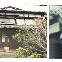 期日前投票