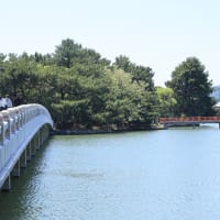 薫風の大濠公園：福岡市中央区