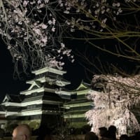 桜の松本