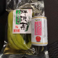 こまどりの湯 0509