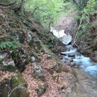 実川・赤安沢～トヤマ沢～赤安田代