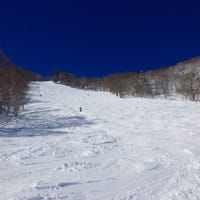 2024安比高原スキー場を滑る