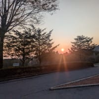 ゴルフ
