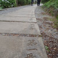薬王寺のつつじ