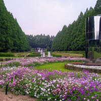 久しぶりの相模原公園