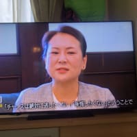 柔道　ยูโด