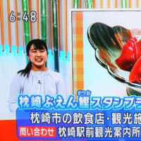 情報WAVEかごしまで🐟