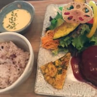 ジプソ　長崎市