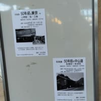 青少年育成市民会議総会出席。知人の写真展今年は「50年前の中仙道」。去年は50年前の上野、佃、江東でした。