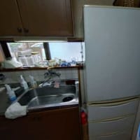 ガスコンロと冷蔵庫の掃除で３時間・・・・・・。(^^ゞ